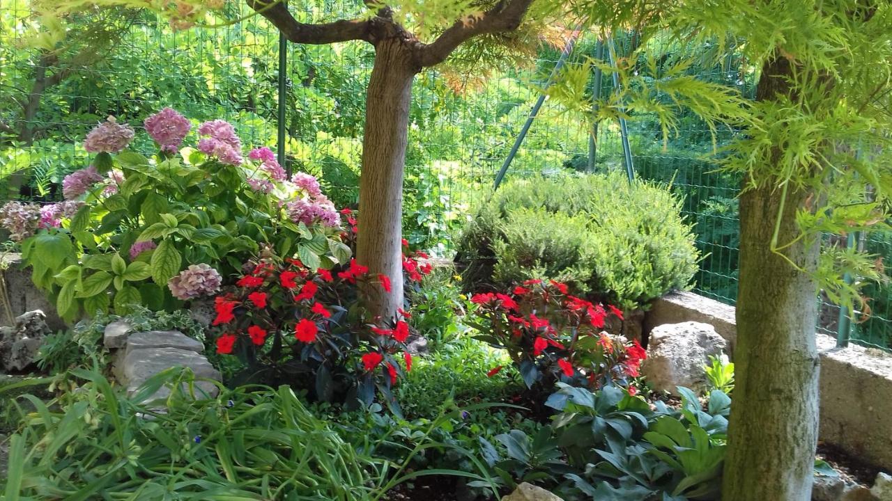 Premariacco B&B Ca Di Me المظهر الخارجي الصورة